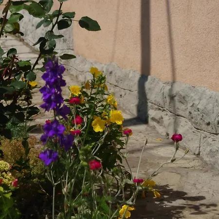 公寓 Bella Bihać